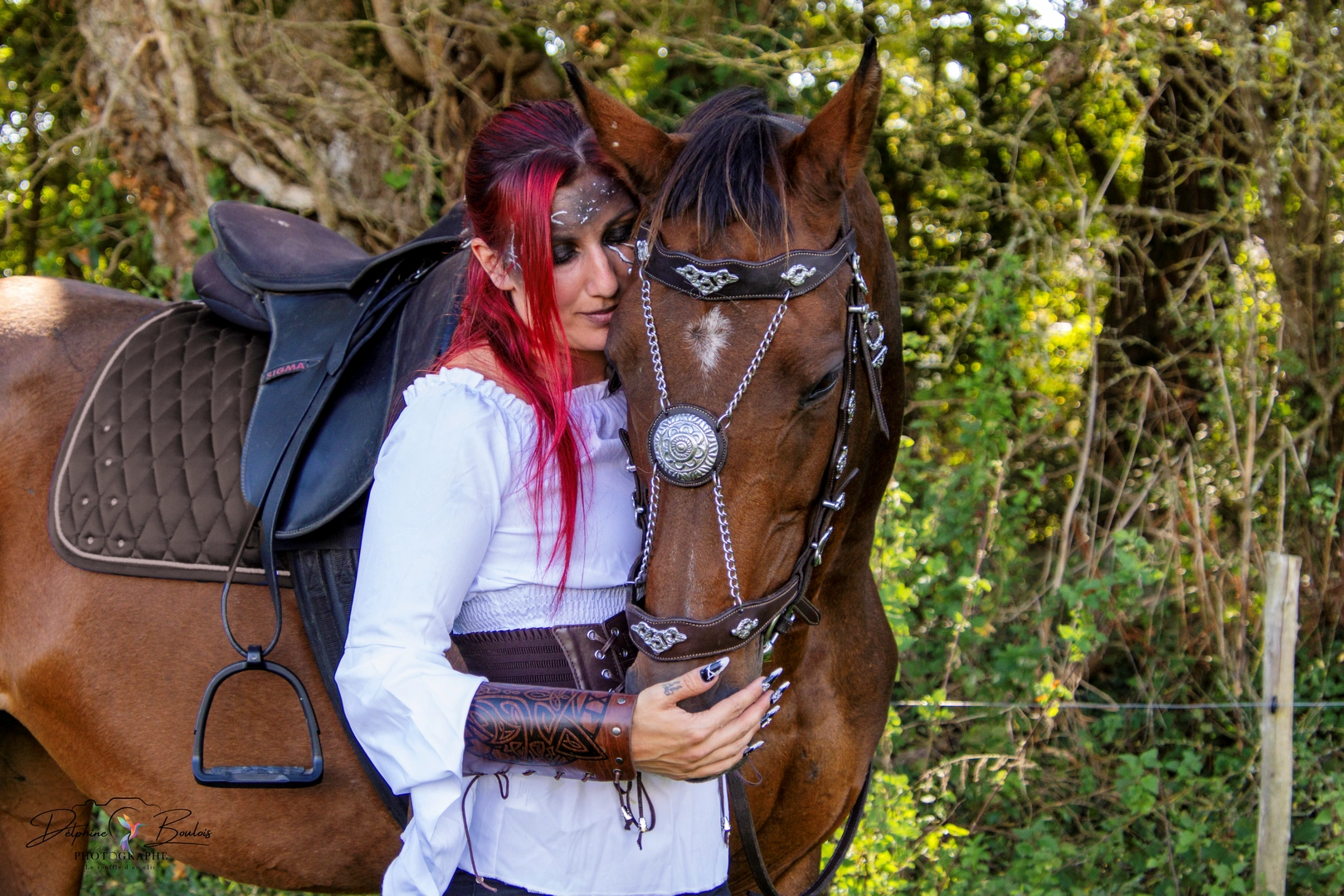 Photo catégorie animaux n°13