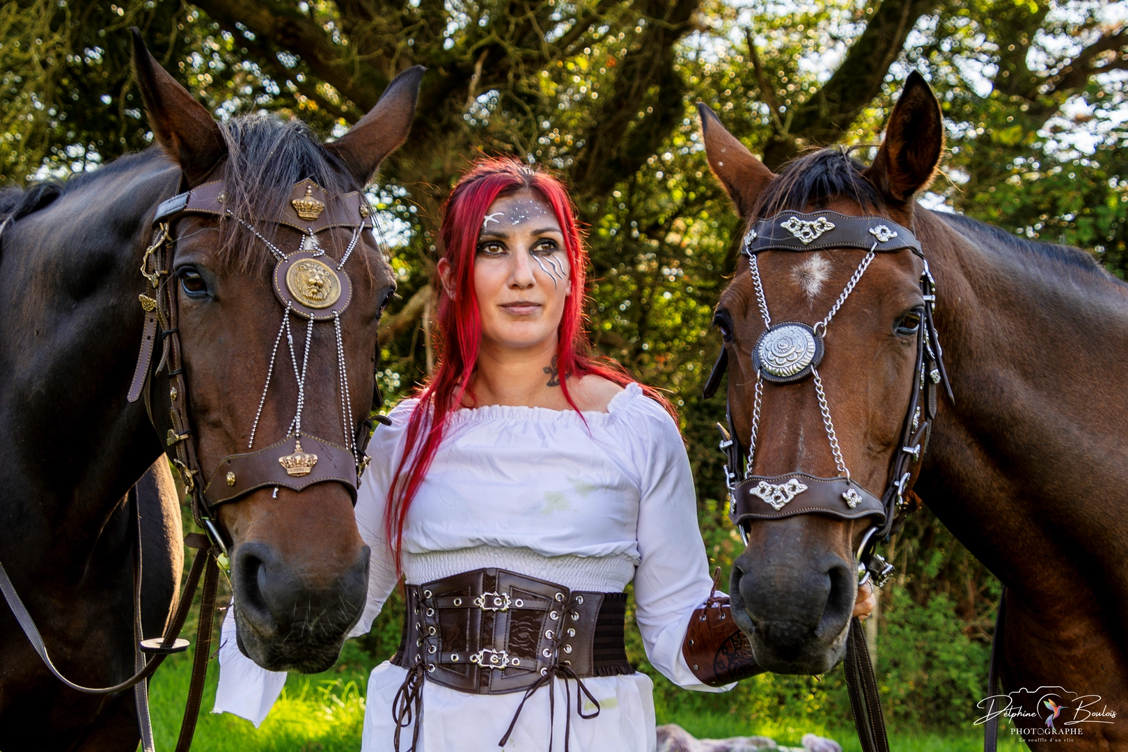 Photo catégorie animaux n°15